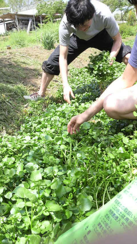 たまにはTSUKIでも眺めましょ